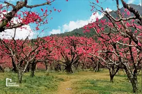 离广州近3小时车程，广东最好的氡温泉，春节短途自驾游走起图片