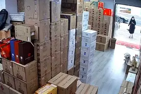 女子遛狗不拴绳袭击猫，反问猫主人：你家的猫怎么不栓绳…图片