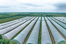 肇州镇：脱贫画面入眼来图片