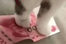 表情包 | 买你一晚，不够再加图片