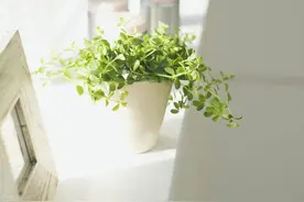 从“出恭”到“去洗手间”的变迁图片