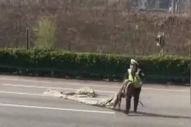 惊险！辅警高速车流中捡“垃圾”图片