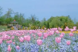 从遇见你的那一刻，夏明旭图片