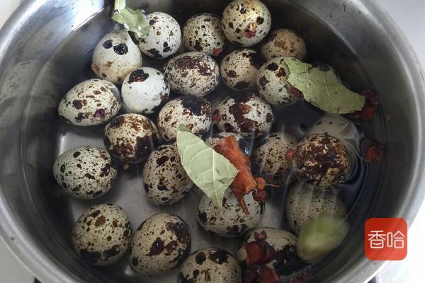 它含有20种氨基酸，好吃又不贵，孩子个子高于同龄人，脑瓜灵