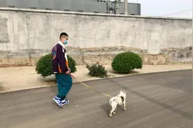 杨九郎管狗叫大哥，真大哥冯照洋被网友圈出来图片