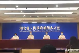 湖北：对中高风险区来鄂返鄂人员需查核酸证明图片
