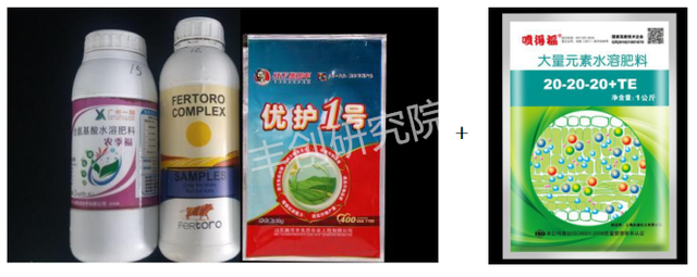 氨基酸肥能增强抗性、提高品质！但是浓度不对，效果天差地别