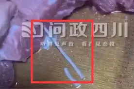 给娃吃的牛肉上竟有寄生虫？ 市场监管局：正在做检验图片