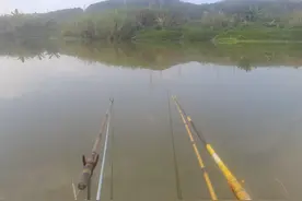 钓鱼需要什么钓具？新手选择什么样的钓具经济实用？图片