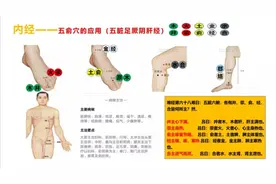 五输穴的位置及应用图片