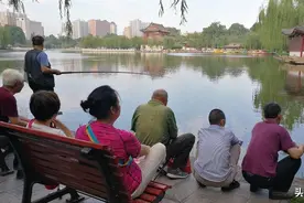 无杆偷钓你会吗？野钓客教你！图片