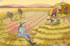 又是一年稻田黄图片