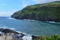 济州岛美食篇  揭秘《爱的迫降》孙艺珍玄彬最喜欢的本土美食图片