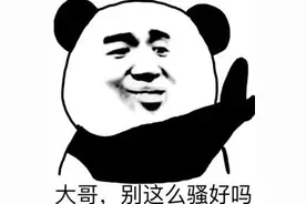 表情包 | 大哥，别这么sao好吗图片