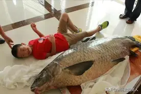长江和黄河的水深都有百米，到底哪条河里的鱼更大？图片