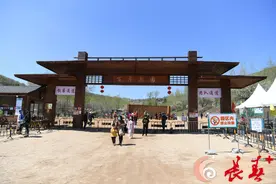 长春这里 已是梨花满枝头图片