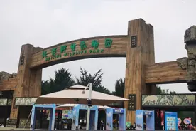 大兴野生动物园游玩的攻略图片