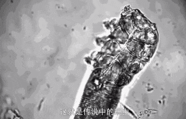 除螨硫磺皂红黑榜pk！最好用的永远是它，躺赢国货之光上海硫磺皂