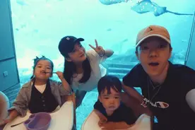 王栎鑫官宣离婚：少了这两个“依赖”，夫妻也只是“室友”而已图片