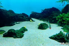 信贷类智能风控由哪些模块组成？图片