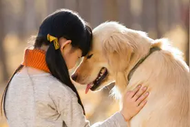 狗为什么和人类亲近？是人类挑选培育的结果，已烙在狗的基因上图片