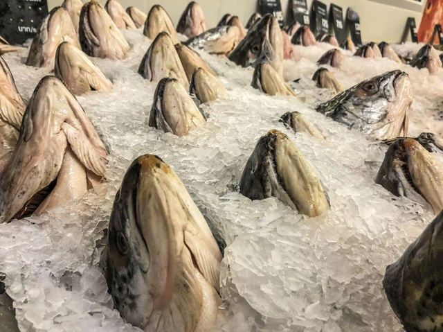 冷冻肉是“僵尸肉”，长期吃对身体有害？不敢吃冷冻肉的人看看吧