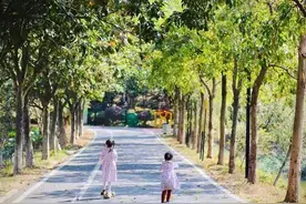 广州遛娃指南，你们要的清单来啦图片