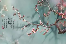 用相机诉说“画意艺术”的摄影师图片