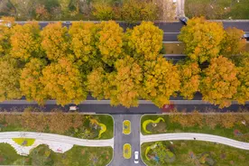郑州市惠济区：砥砺五载 铿锵前行建功新时代图片