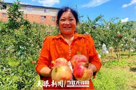 贵州威宁海田村：软籽石榴带来“硬核”幸福图片