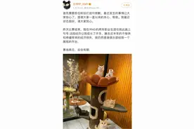 深度 | 5000万！中国电竞史上最贵索赔图片