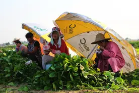 2022年农民医保，共有“1坏2好”3个变化，另有3类人不交也能享受图片