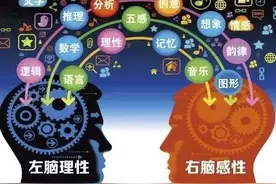 右脑是左脑存储功能的100万倍（上集） 你习惯用右脑还是左脑呢图片