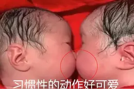 龙凤胎刚出生就一直亲，护士分都分不开，网友：上辈子是情侣图片