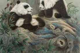 画家王生勇笔下的熊猫图片