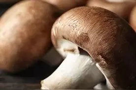 香菇——干菜知识图片