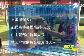 杭州养犬新规周四开始实行，不牵绳遛狗罚款400元起视频封面