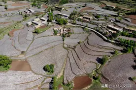 鸟瞰山西临汾东山玉米地 一条条像大地的肌理 怎么回事图片