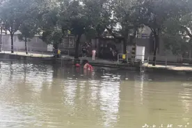 宁波南塘河边一女子落水！多年没下水的他纵身一跳，救上来了图片