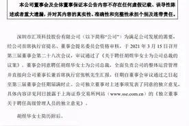 官宣！胡煜华出任汇顶科技公司总裁，直接向张帆汇报图片