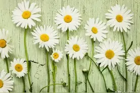 女人离婚后，再见前夫是什么感受？3个女人说了心里话图片