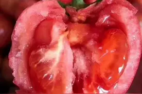 买番茄时，遇到3种扭头就走，2元1斤都不要，为了家人健康要记牢图片