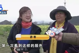 春日打卡又多一处，杭州双浦镇彩色油菜花田图片