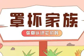 文胸干货丨罩杯家族，你都认识它们吗！图片