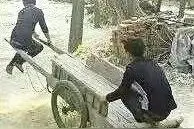 上平顶山拉煤图片