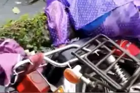 12级台风刮倒椰子树，海南一男子不幸被砸身亡，台风已致多人身亡图片