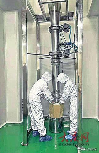 葵花盘低聚肽片功效 2025年葵花盘低聚肽粉