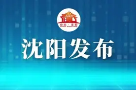 沈阳市、区两级政务服务全面实行双休日“不打烊”！图片
