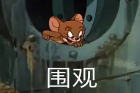 猫和老鼠求围观搞笑图图片