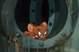 猫和老鼠求围观搞笑图图片